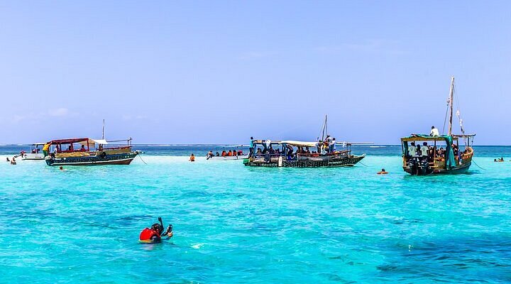 Budget Wasini Island Safari Blue