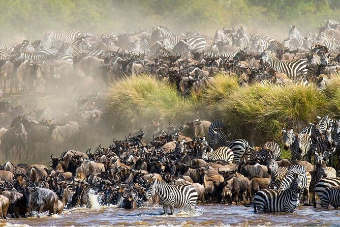 Kenya and Tanzania Highlights Safari – Gaschery Safaris wildbeest migration