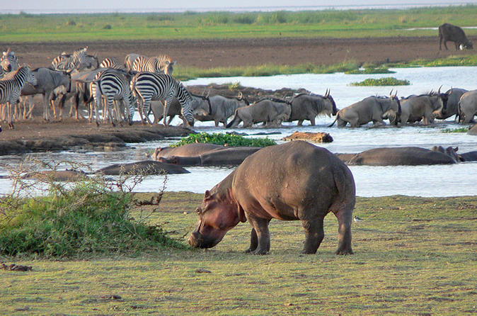 Lake Manyara National Park