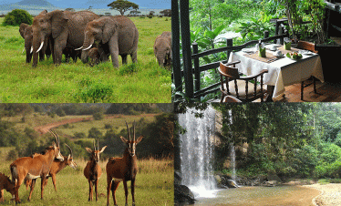 Mombasa 1 Day Tours Shimba Hills National Reserve Safari Shimba Hills National Reserve Full Day Trip