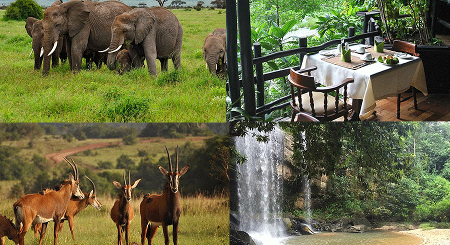 Mombasa 1 Day Tours Shimba Hills National Reserve Safari Shimba Hills National Reserve Full Day Trip