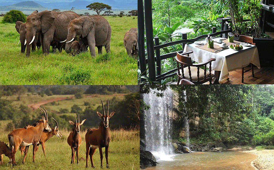 Mombasa 1 Day Tours Shimba Hills National Reserve Safari Shimba Hills National Reserve Full Day Trip