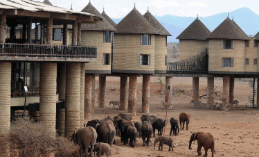 Tsavo east and Salt Lick Safari