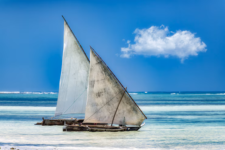 diani beach safari