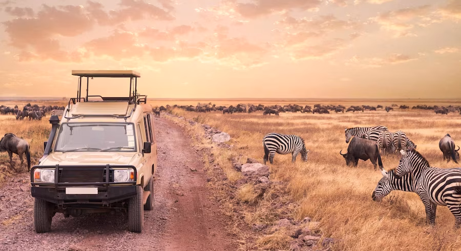 lorick tours and safaris , kenya safaris, uganda safaris packages, tanzania safaris packages