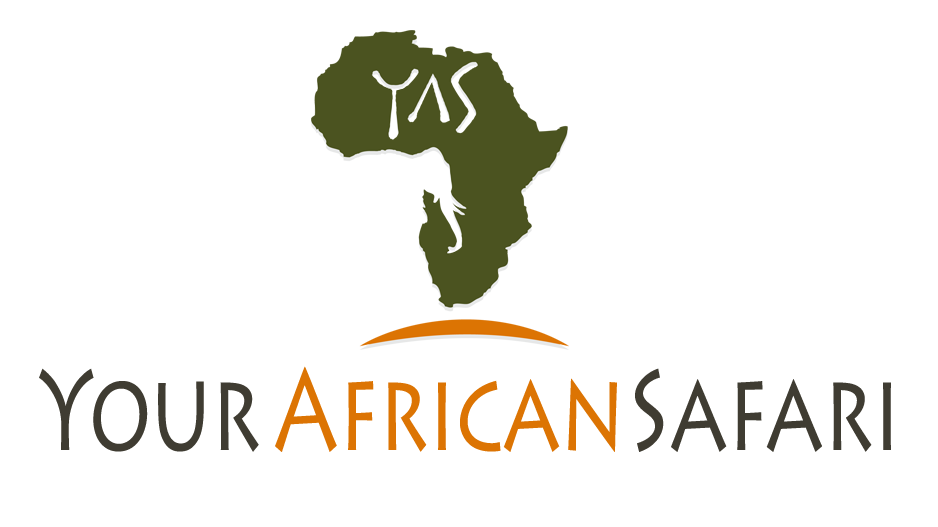 your african safari