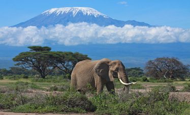 5 DAYS, 4 NIGHTS SAFARI TO TSAVO EAST,TSAVO WEST AND AMBOSELI FROM NAIROBI