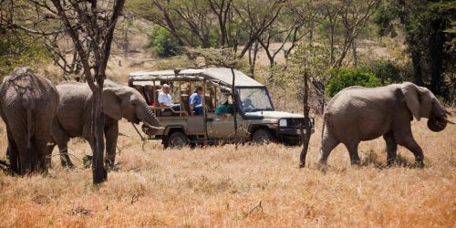 10 days Kenya Bush and Beach safari Ken ya Beach Safaris Kenya Tour